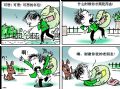 老朋友