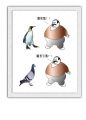 老挑眼
