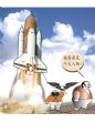 春天的故事