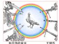 王琭军营幽默-和平鸽的命运