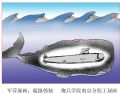 王琭军营幽默-超级伪装