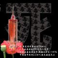 美丽的诱惑
