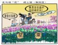 走马观花