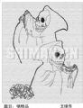 王琭禁毒漫画：牺牲品