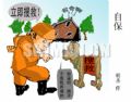 自保