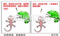 动物漫语：礼尚往来