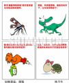 动物漫语：感慨