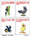 动物漫语：不无道理