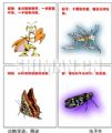 动物漫语：网迷