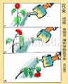 花朵.jpg