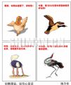 动物漫语：说句心里话
