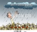 久旱逢甘霖